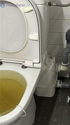 Verstopping toilet Groningen