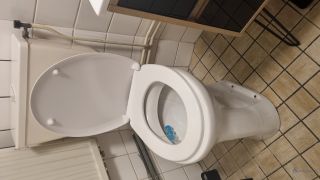 Loodgieter Schiedam Toilet vervangen