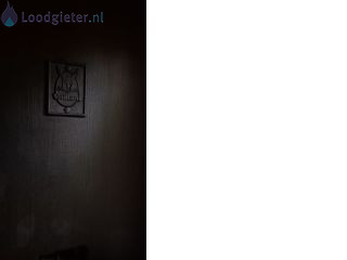 Loodgieter Reparatie geiser Geiser reparatie