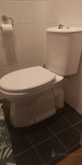 Loodgieter Vleuten Twee duoblok-toiletten vervangen