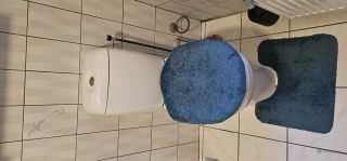Loodgieter Nieuwegein Duoblok toilet vervangen