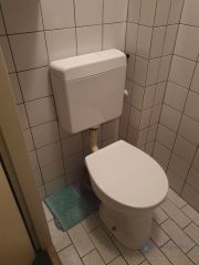 Loodgieter Berkel-Enschot Vervangen toilet pot.