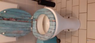 Loodgieter Amersfoort Toiletpot vervangen