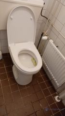 Loodgieter Nieuwegein toilet vernieuwen