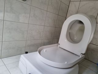 Loodgieter Waardenburg Toiletpot vervangen