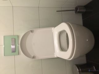 Loodgieter Bilthoven Stank toilet
