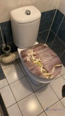 Loodgieter Amersfoort Sphinx staand toilet