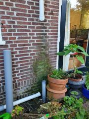 Loodgieter Leiden Regenpijp van de dakgoot is gebroken.