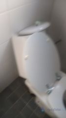Loodgieter Ophemert Toilet vervangen