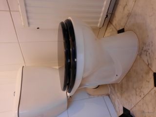 Loodgieter Delft toilet lekkage