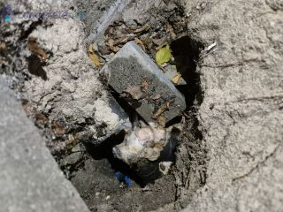 Loodgieter Verstopt Riool Sinkhole in de tuin bij de afvoer