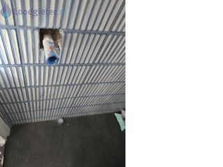Loodgieter Ophangen wasbak Ophangen wasbak