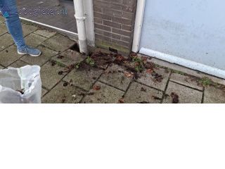 Loodgieter Riolering Verzakkingen en sinkholes