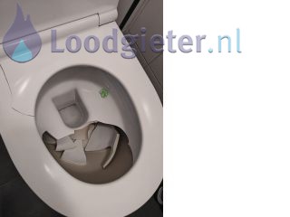 Loodgieter Wijk bij Duurstede Toilet vervangen