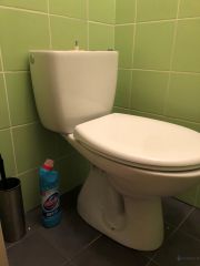 Loodgieter Vleuten Vervangen toilet