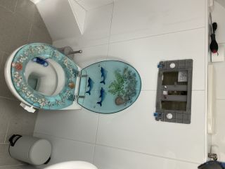Loodgieter Hellevoetsluis Doorlopend toilet