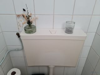 Loodgieter Borne Stortbak wc vervangen