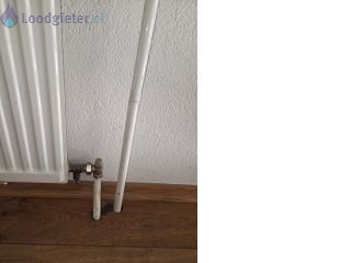 Loodgieter Roosendaal Hangend toilet vervangen
