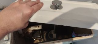 Loodgieter Ede Toilet repareren