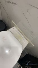 Loodgieter Rijswijk Toiletpot vervangen
