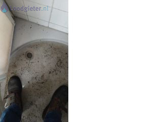 Loodgieter Dordrecht Verstopping doucheput
