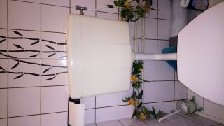 Loodgieter Den Haag Stortbak wc vervangen