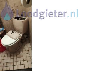 Loodgieter Voorst Toilet vervangen