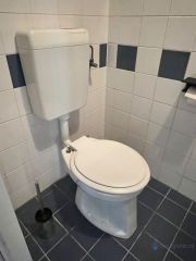 Loodgieter Amersfoort Toilet en fontein vervangen (beide zijn in huis)