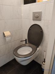 Loodgieter Maassluis vervangen toiletpot