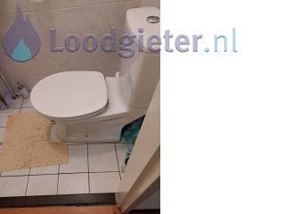Loodgieter Lelystad Drukknop van waterreservoir is defect.