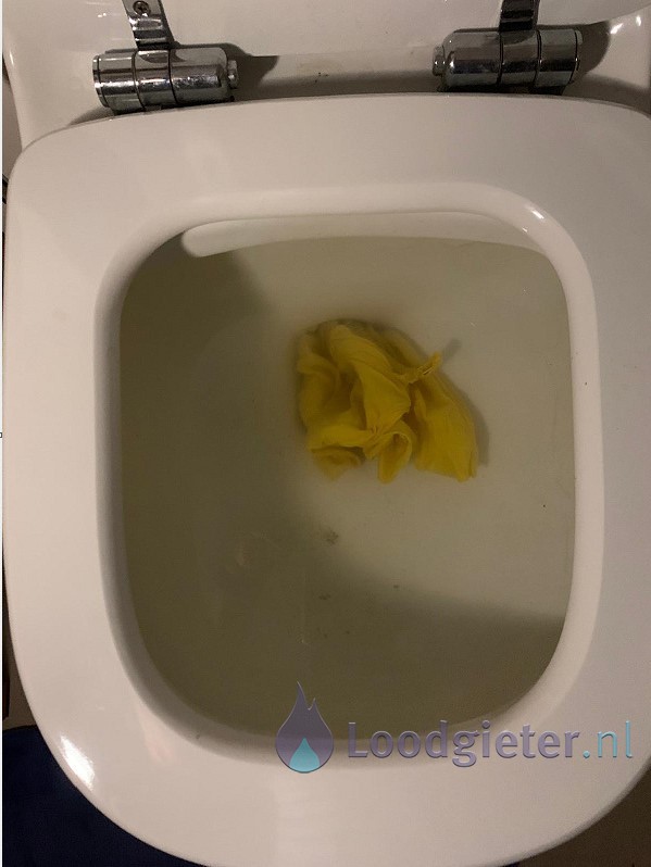 Verstopt Toilet