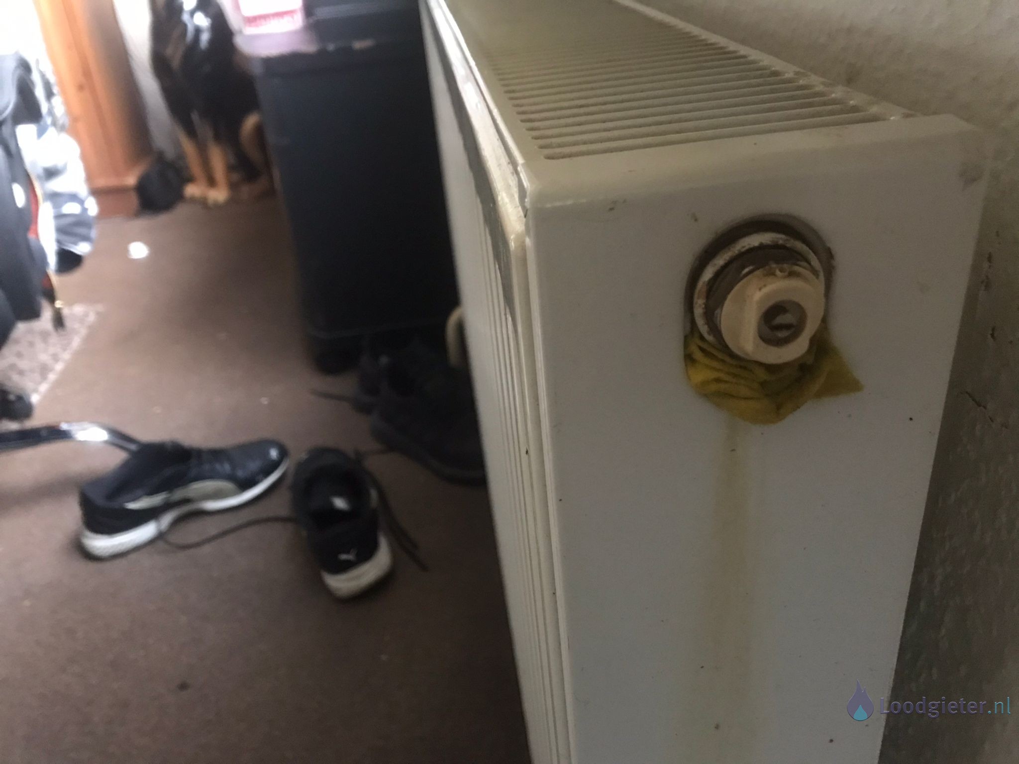 Reparatie radiator