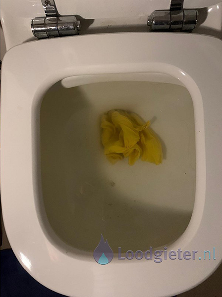 Verstopping WC