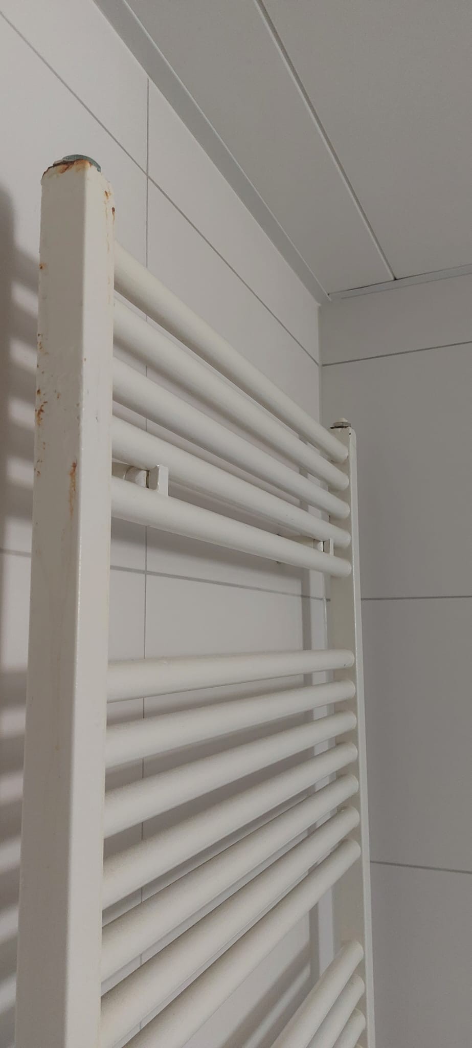 verreoste radiator vervangen